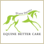 Equine Sports Massage