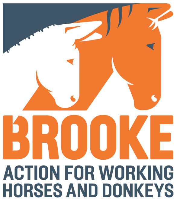 Brooke – Action for working horses and donkeys